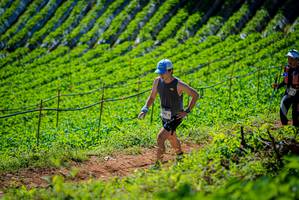 BIB: 
                            <button type="button" onclick="openModal(19163033)" class="btn btn-primary btn-sm float-right btn-popup" data-toggle="modal" data-target=".modal-high-quality">
                        <i class="fas fa-shopping-cart"></i> Add to Cart
                    </button>
                                            <button type="button" onclick="isThisMe(19163033, true)" class="btn btn-success btn-sm float-right btn-popup btn-isme hidden" data-toggle="tooltip" data-placement="bottom" title="นี่คือรูปของคุณใช่ไหม คลิกที่นี่เพื่อเอาเข้าอัลบั้ม">
                        <i class="fas fa-plus"></i> Add to album
                    </button>
                    <button type="button" onclick="isThisMe(19163033, false)" class="btn btn-warning btn-sm float-right btn-popup btn-isnotme hidden">
                        <i class="fas fa-ban"></i> Remove from album
                    </button>